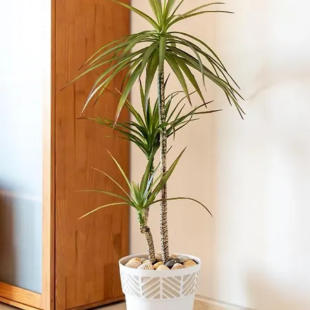 Casa Andorinhas Apartament *